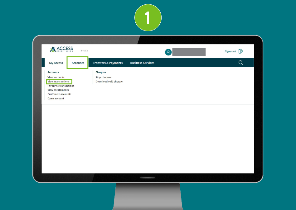 Website page on a desktop browser with visual emphasis on the Accounts category and 'View Transactions' selected.